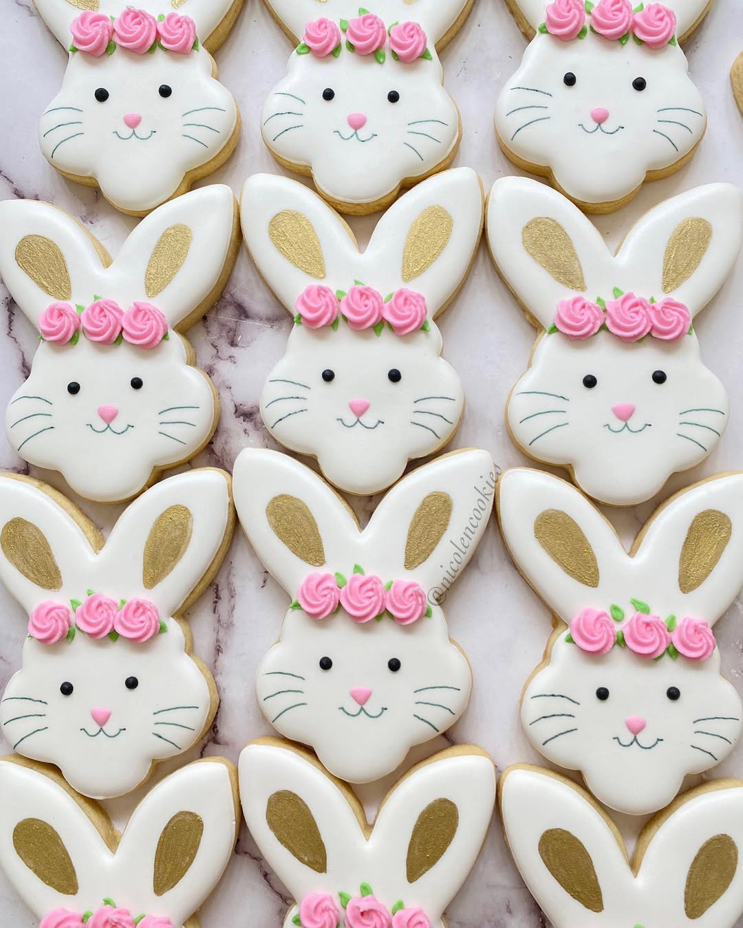 Lapins