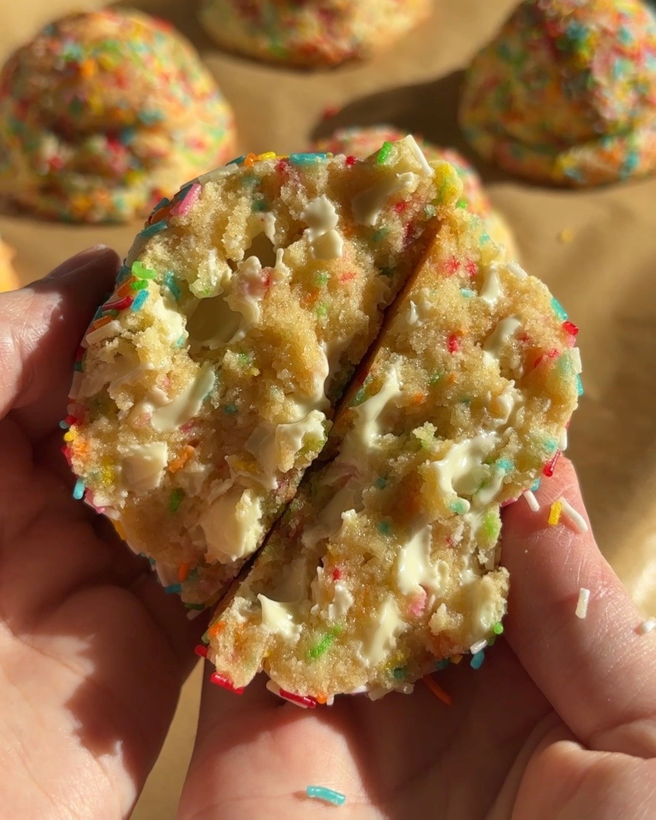 Confetti XL